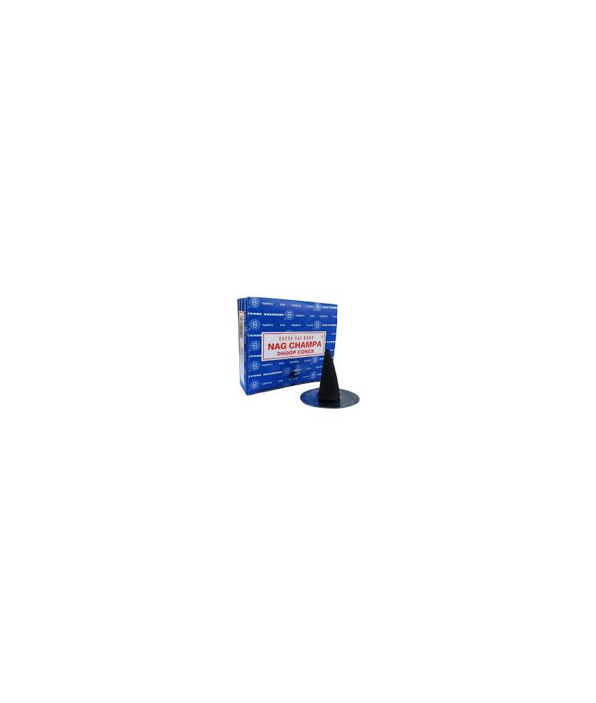 IN.SATYA CONO NAG CHAMPA