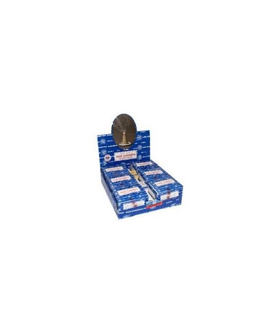 IN.SATYA CONO NAG CHAMPA