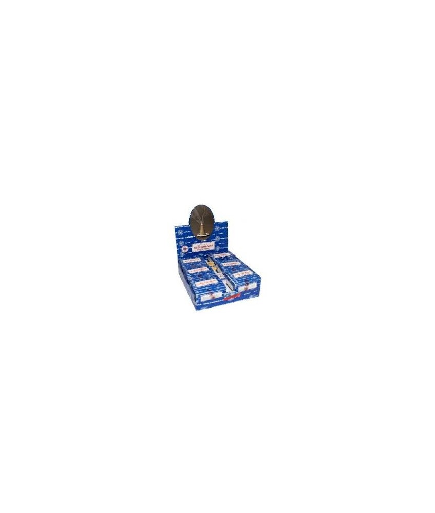 IN.SATYA CONO NAG CHAMPA