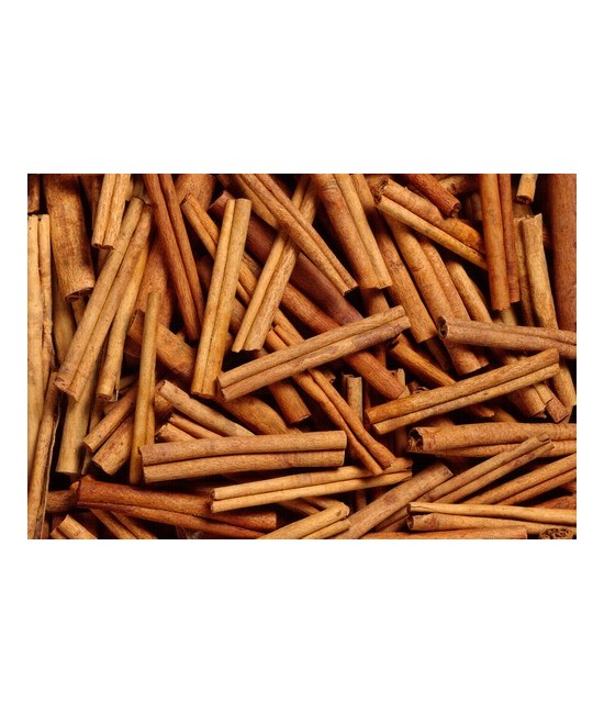 IN.GOLOKA CINNAMON CANELA INCIENSO