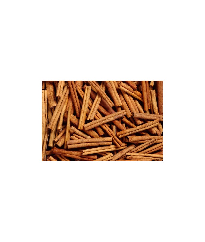 IN.GOLOKA CINNAMON CANELA INCIENSO