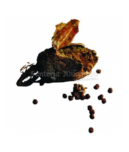 Es un componente que se utiliza en buena parte de los rituales y trabajos tanto esotéricos como de santería.

Guinea Pepper .