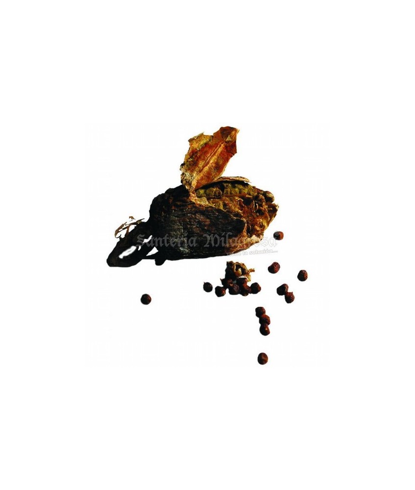 Es un componente que se utiliza en buena parte de los rituales y trabajos tanto esotéricos como de santería.

Guinea Pepper .
