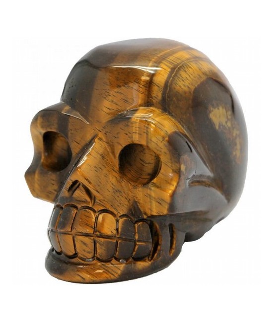 CALAVERA OJO TIGRE 10 X 7,5 CM.