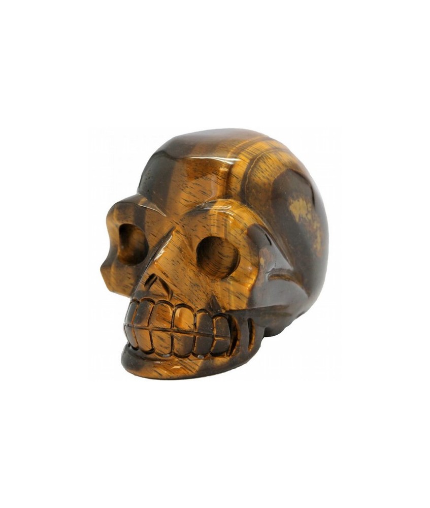 CALAVERA OJO TIGRE 10 X 7,5 CM.