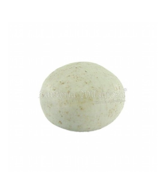 QUITA MALDICION
USO TRADICIONAL
Conocido como Guacalote, Guacajayo, Ewe, Ayo.
Dueño de Oggún.
Se usa para resguardos de luc
