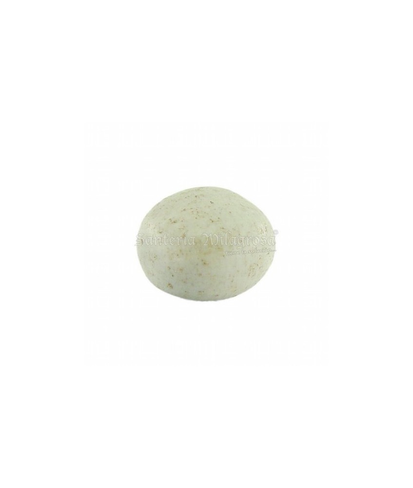 QUITA MALDICION
USO TRADICIONAL
Conocido como Guacalote, Guacajayo, Ewe, Ayo.
Dueño de Oggún.
Se usa para resguardos de luc
