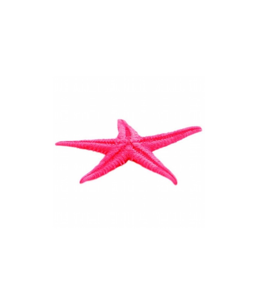 Art. Ritual Estrella de Mar (Pequeña)