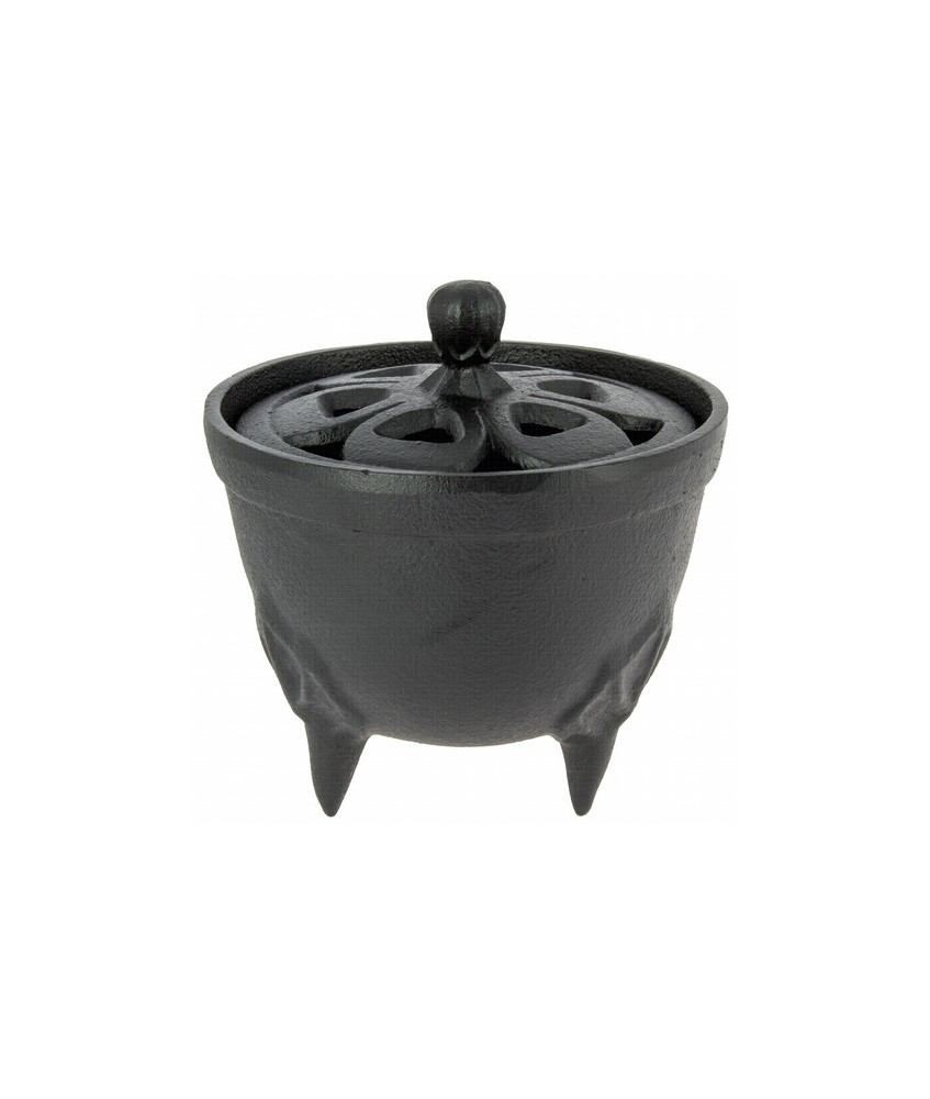 
38,00 
Fabricado por Iwachu en Morioka, Japan.
Incluida marmolina para incensario.

Made in: 
Japan
Características té