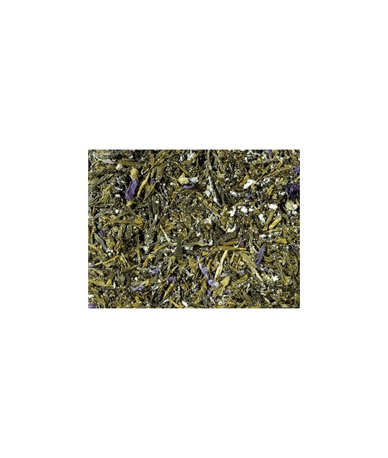 DB.TE VERDE KOMBUCHA KG.