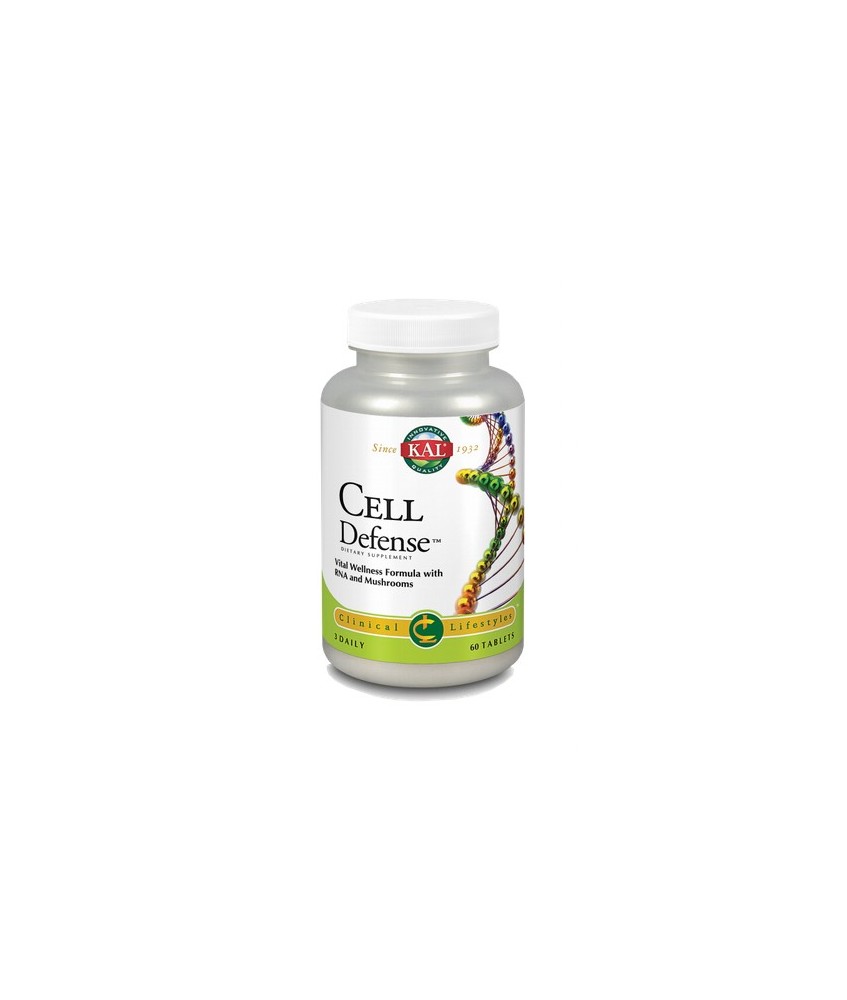 Cell Defense-60 Comprimidos
REF.67107
CONTENIDO MEDIO (POR COMPRIMIDO)
Vitamina C (ácido ascórbico)

133.3

mg

NAC (