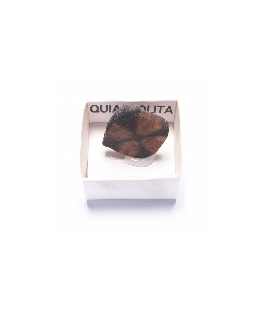 Quiastolita en cajita cartón de 4x4.