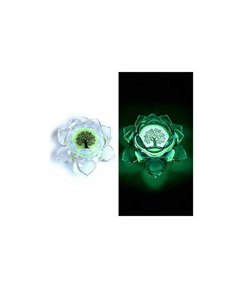Flor de loto realizada en Cristal y material fosforescente para que brille en la oscuridad.

Medidas: 12 x 5.5 cm.

El cent
