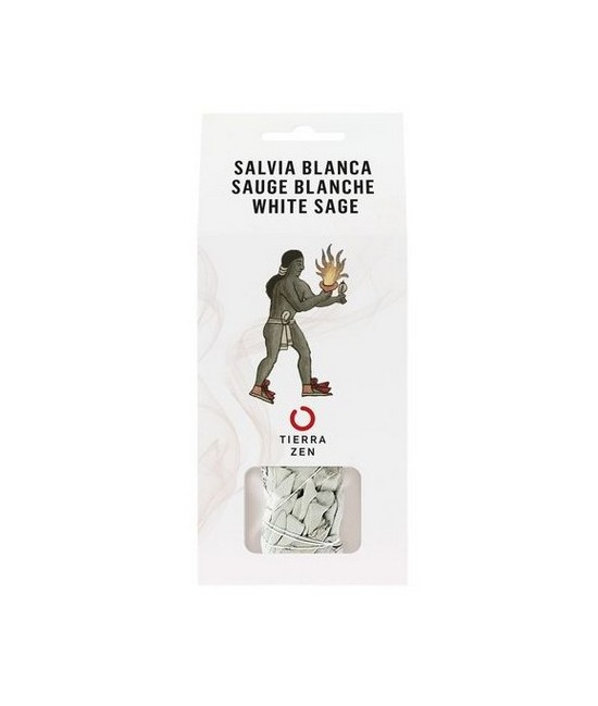 Cur moriatur homo cui Salvia crescit in horto? - ¿De qué puede morir un hombre que tiene salvia en su jardín? Esta frase de un 