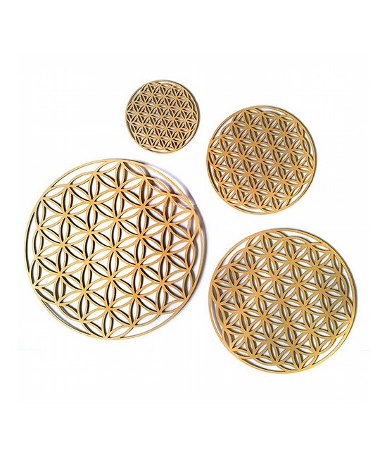 Set de 4 piezas de madera troqueladas con la Flor de la Vida.

Tamaños: 15,5cm, 23cm, 30,5cm y 38cm

Ideal para decorar de 