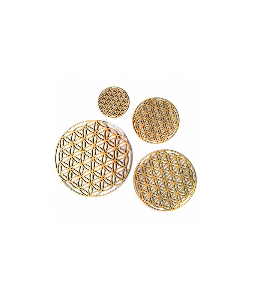 Set de 4 piezas de madera troqueladas con la Flor de la Vida.

Tamaños: 15,5cm, 23cm, 30,5cm y 38cm

Ideal para decorar de 