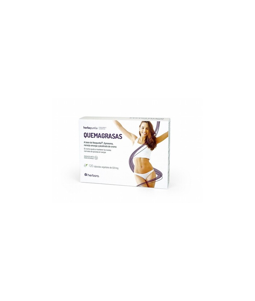 Ingredientes
Por 4 cápsulas:
Neopuntia® (Opuntia ficus-indica (L.) Mill) 600 mg, ES Gymnema (Gymnema sylvestris) 400 mg, ES N