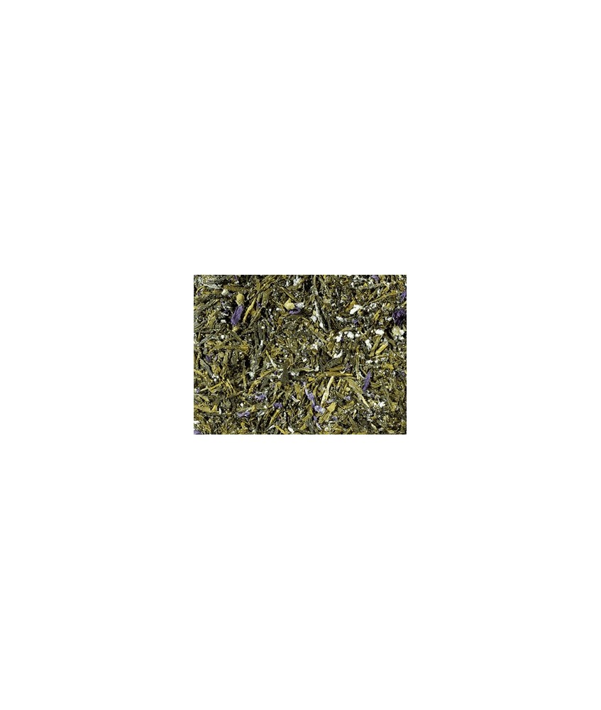 Té verde (93 %), polvo de kombucha (maltodextrina, azúcar, agua, mezcla de hierbas (hojas de mora, frambuesa, y fresa, limoncil