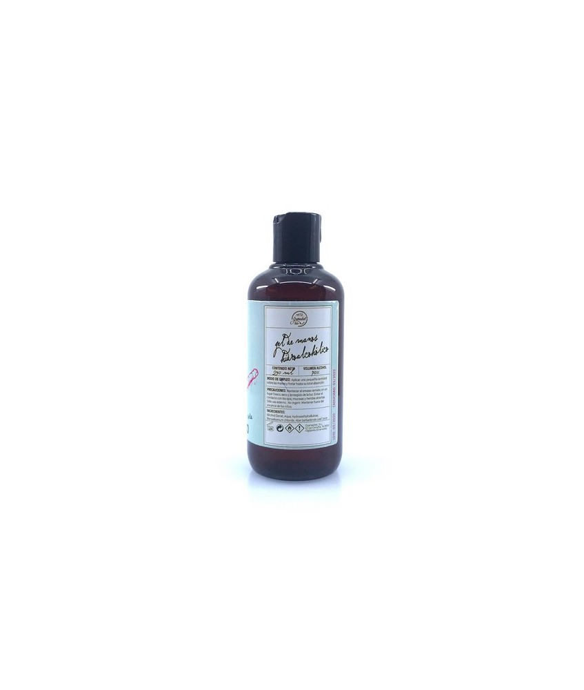 GR.GEL HIDROALCOHOLICO ALOE 250 ML. NUEVO