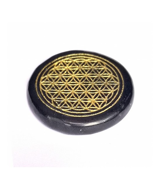 rodado plano para chakras de Shungita.
Medida: Ø30mm y 6mm de grosor