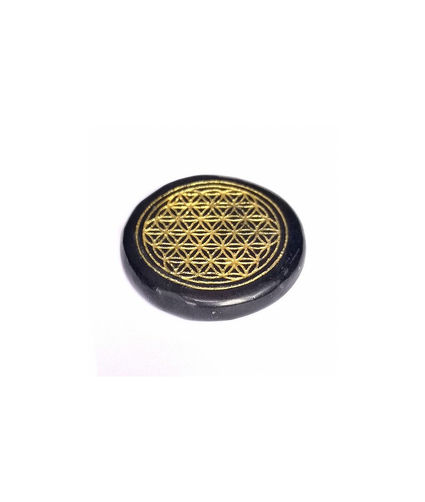 rodado plano para chakras de Shungita.
Medida: Ø30mm y 6mm de grosor
