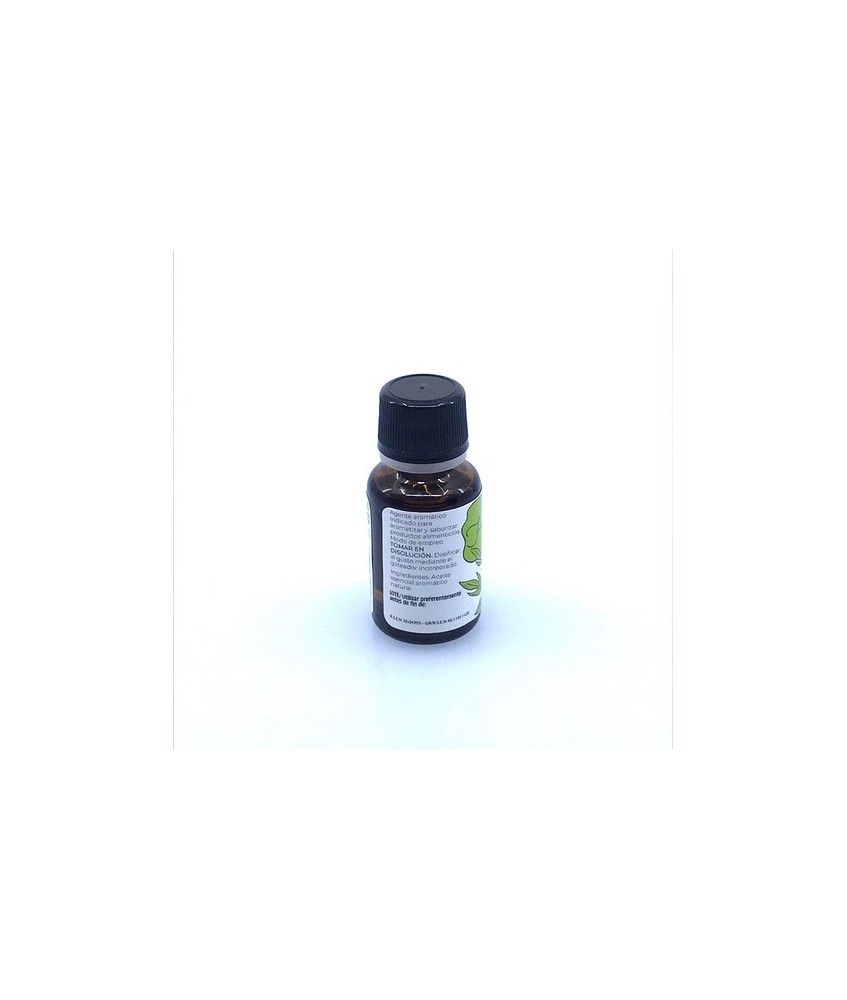 GR.ESENCIA HIERBA BUENA 17 Ml.
