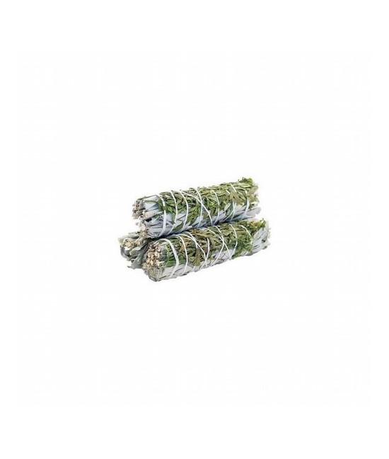  Utilizada en hechizos de sanación, protección, limpieza áurica y abundancia, la salvia tiene un alto poder mágico.
Por su pod
