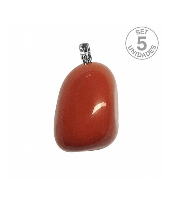 Colgante Jaspe Rojo rodado engarce plata.

PRECIO UNIDAD. SE VENDE INDIVIDUAL