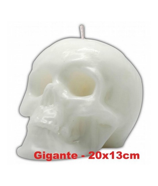 VELA FORMA Craneo Gigante 13 cm (Blanco)
Ref.: VFCRAGB