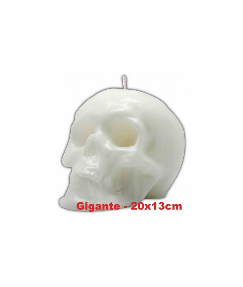 VELA FORMA Craneo Gigante 13 cm (Blanco)
Ref.: VFCRAGB