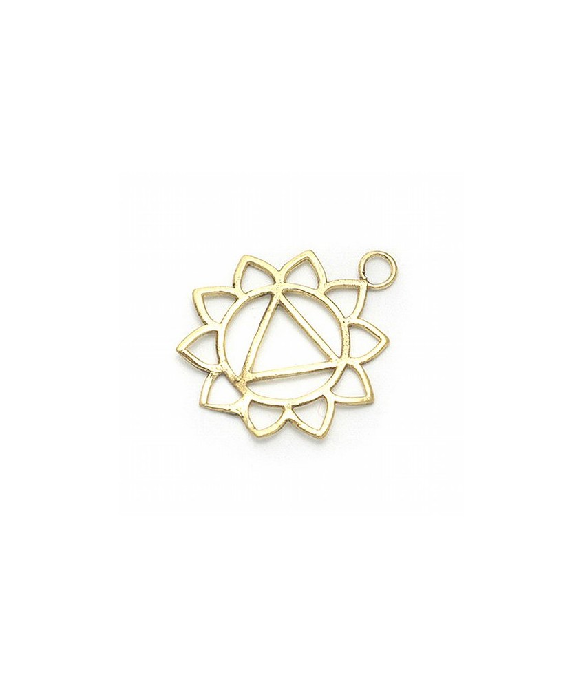 Colgante simbología de los chakras.

Material: Bisutería.

Medida: Ø 3 cm.