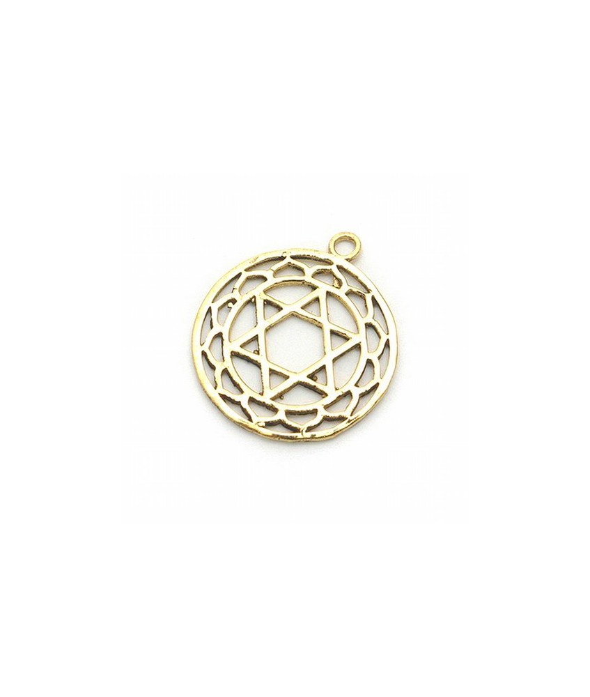 Colgante simbología de los chakras.

Material: Bisutería.

Medida: Ø 3 cm.