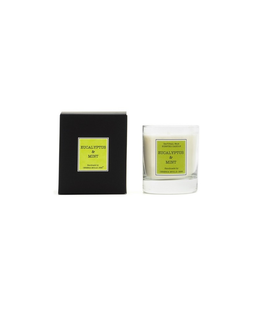 CM.VELA VASO SOJA EUCALIPTO MENTA 230 GR.