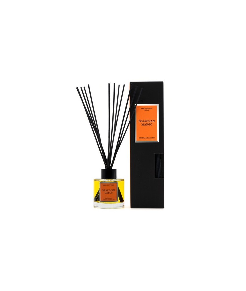 CM.MIKADO MANGO BRASILEÑO 100 ML.