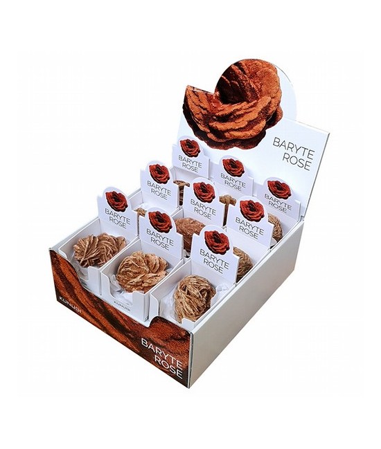 ROSA DESIERTO CAJITA EXPOSITORA (65x75 mm)

PRECIO UNIDAD