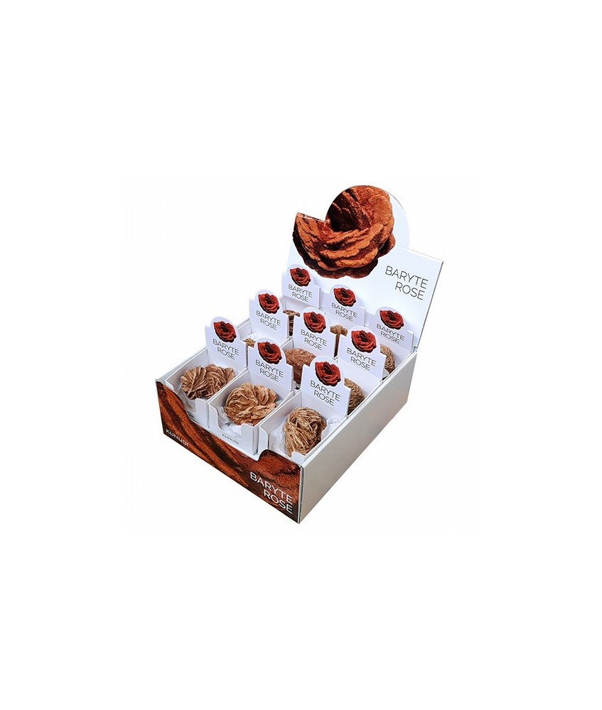 ROSA DESIERTO CAJITA EXPOSITORA (65x75 mm)

PRECIO UNIDAD