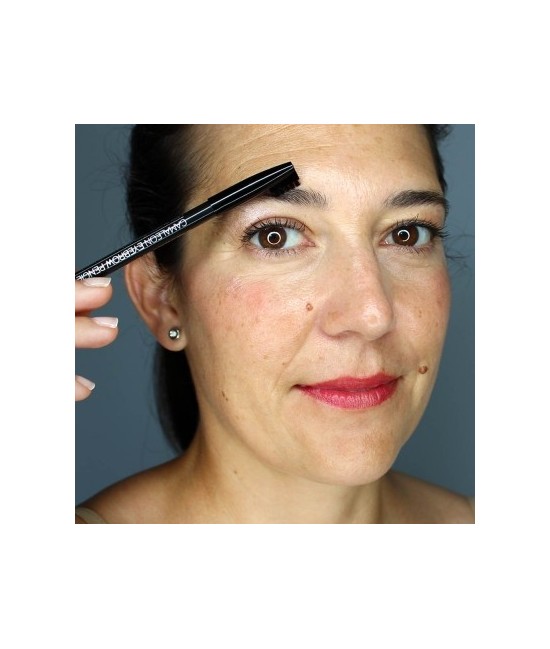 AR.LAPIZ CEJAS CAMALEON BLACK