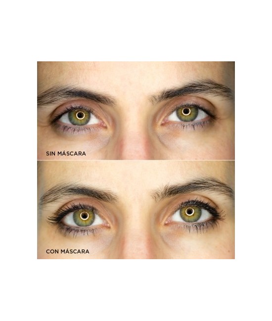 AR.MASCARA PESTAÑAS CAMALEON DEFINICION