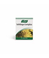 FL.SOLIDAGO COMPLEX 60 COMP.