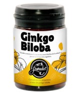 GR.COMPRIMIDOS GINKGO BILOBA 60 COMP 500Mg
