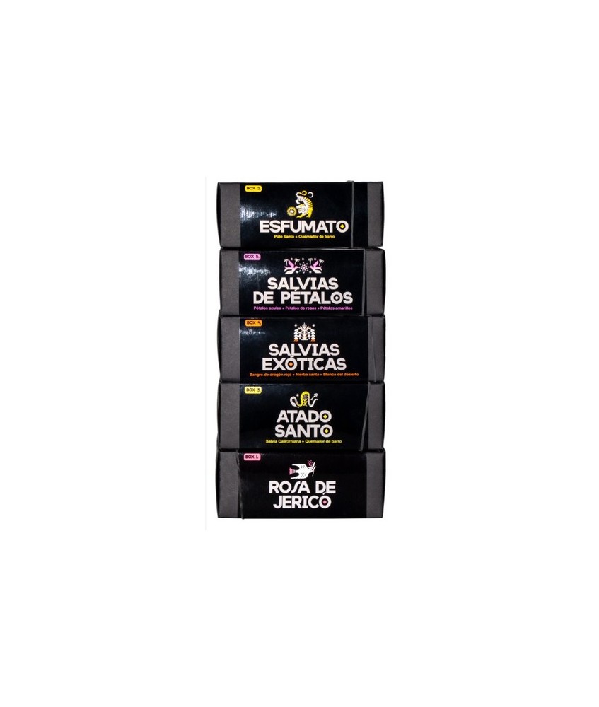 TRI.BOX4 SALVIAS EXOTICAS 3 SURTIDO