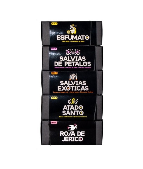 TRI.BOX5 SALVIAS DE PETALOS 3 SURTIDO