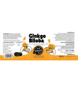 GR.COMPRIMIDOS GINKGO BILOBA 60 COMP 500Mg