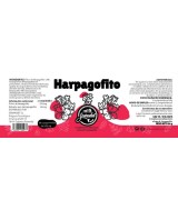 GR.COMPRIMIDOS HARPAGOFITO 60 COMP. 500Mg