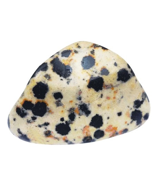 TRI.JASPE DALMATA PAQUETE 20 UNIDADES
