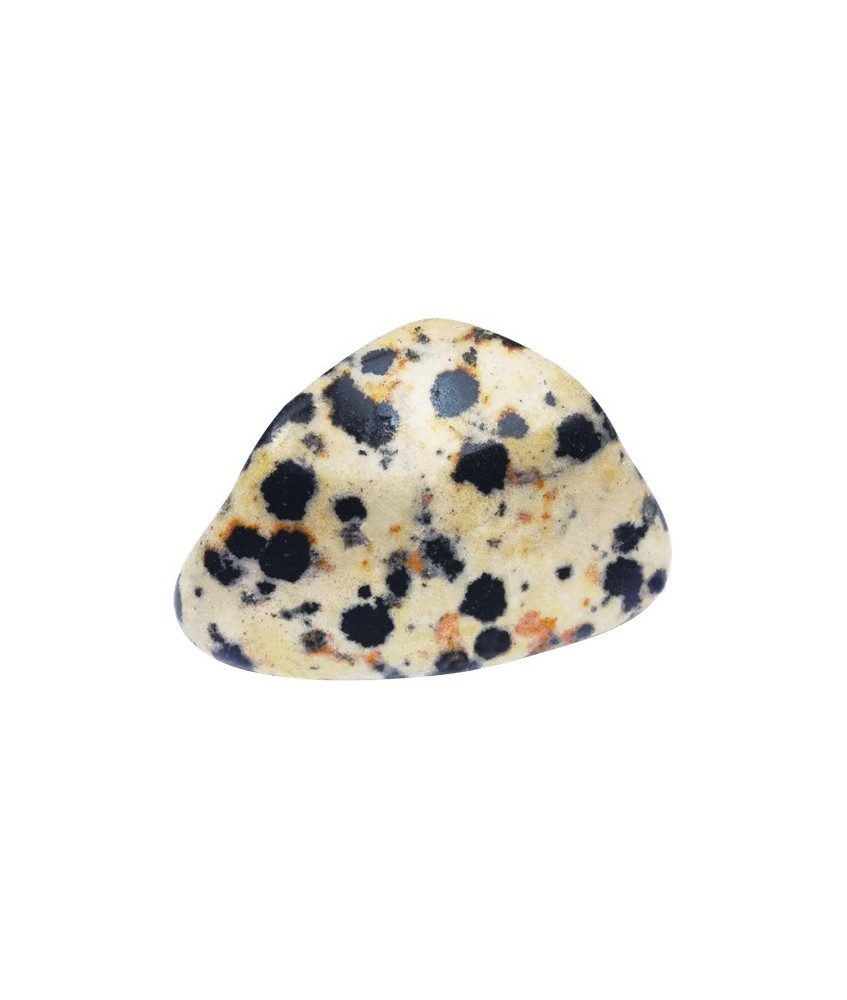 TRI.JASPE DALMATA PAQUETE 20 UNIDADES