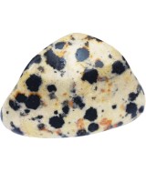 TRI.JASPE DALMATA PAQUETE 20 UNIDADES