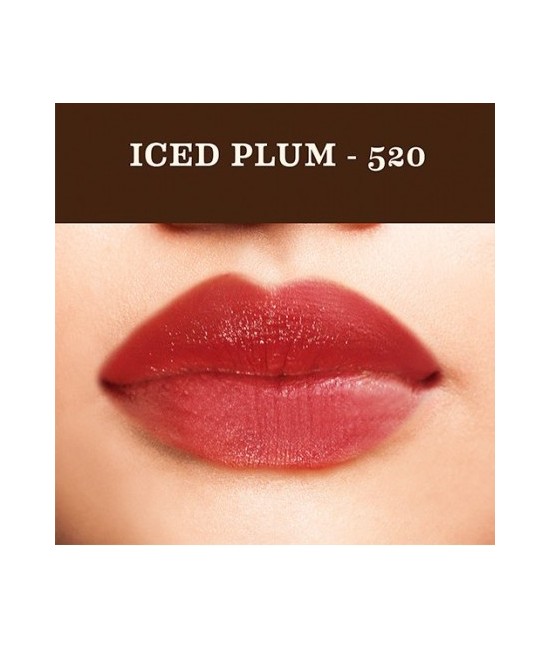 SOU.BARRA LABIOS AYURVEDICO 520 ICE PLUM