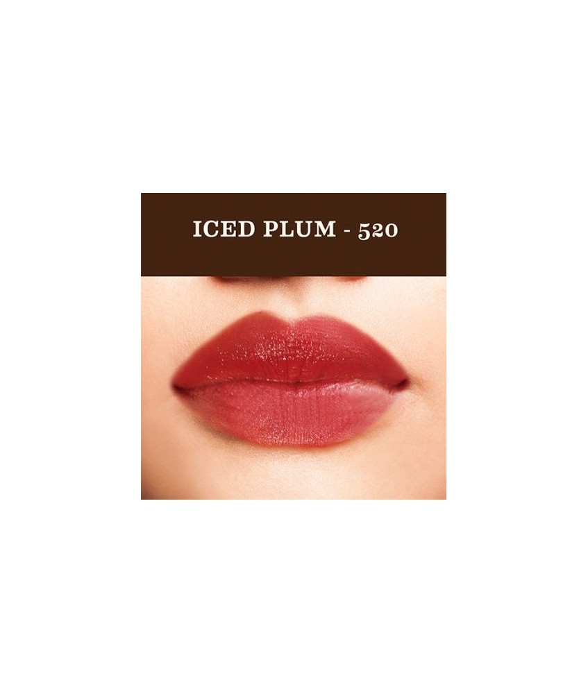 SOU.BARRA LABIOS AYURVEDICO 520 ICE PLUM