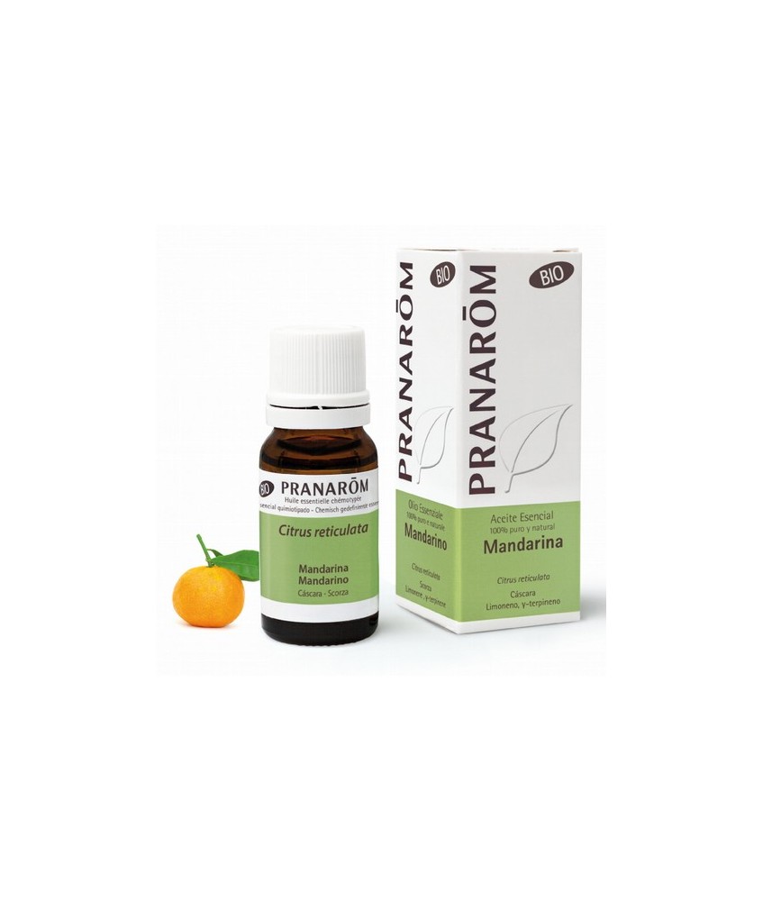 Citrus reticulata
Este pequeño árbol de hojas resistentes y brillantes presenta flores blancas perfumadas y un fruto naranja. 